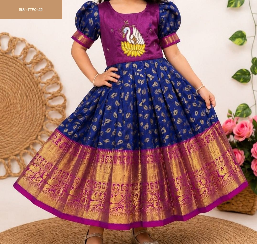 Jacquard Fabric Gown with Zari Border